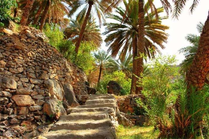 Riad The Wadi Al Ḩamrāʼ